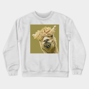 I Am Finally Getting Braces - Funny Animal Cartoons Crewneck Sweatshirt